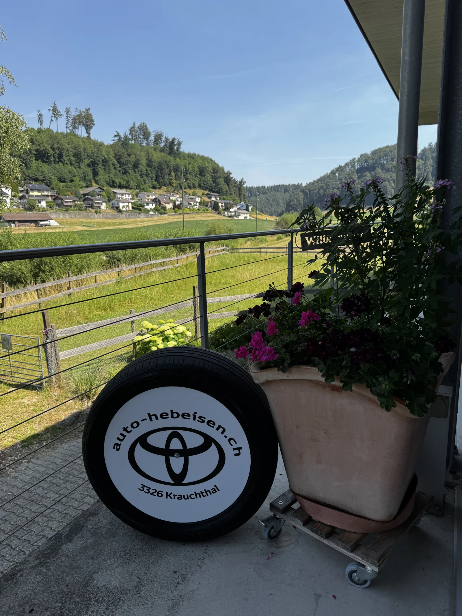 Winterreifen mit Toyota Logo von Auto Hebeisen vor der sommerlichen Landschaft in Krauchthal.